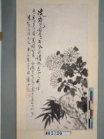 藏品(陳邁子題美娟女史繪『菊花』)的圖片